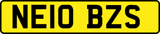 NE10BZS
