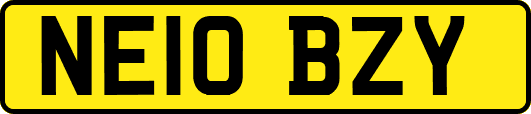 NE10BZY
