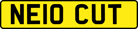 NE10CUT