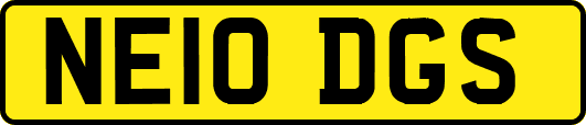 NE10DGS