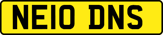 NE10DNS