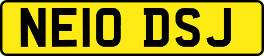 NE10DSJ