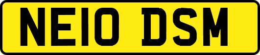NE10DSM