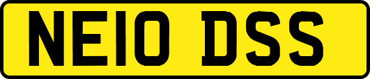 NE10DSS