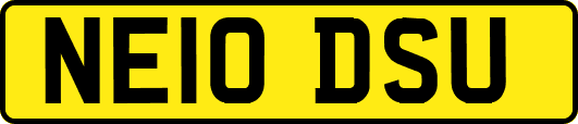 NE10DSU
