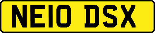 NE10DSX