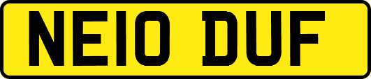 NE10DUF