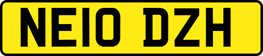NE10DZH