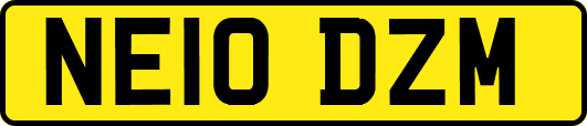NE10DZM