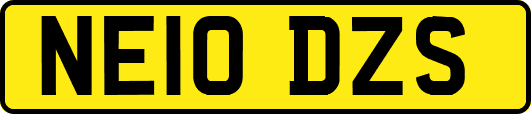 NE10DZS