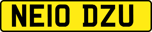 NE10DZU