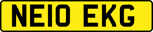 NE10EKG
