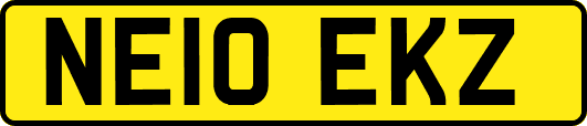 NE10EKZ