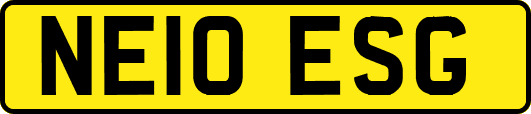 NE10ESG