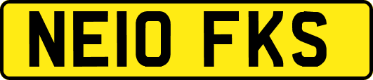 NE10FKS