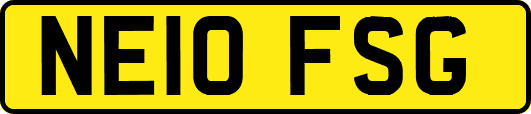 NE10FSG