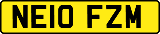 NE10FZM