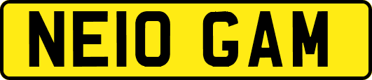 NE10GAM