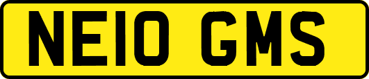 NE10GMS