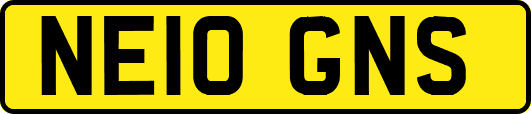 NE10GNS