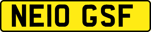 NE10GSF