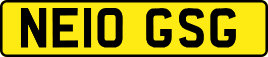 NE10GSG