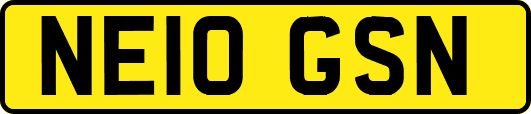NE10GSN