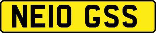 NE10GSS