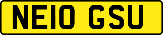 NE10GSU