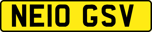 NE10GSV
