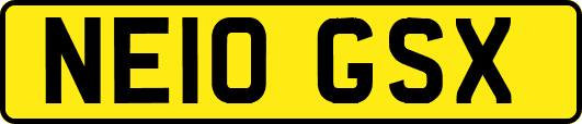 NE10GSX