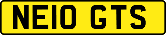 NE10GTS