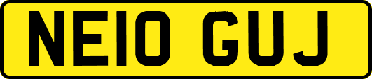 NE10GUJ