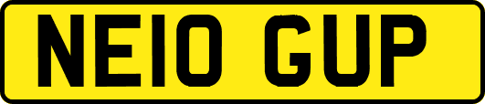 NE10GUP