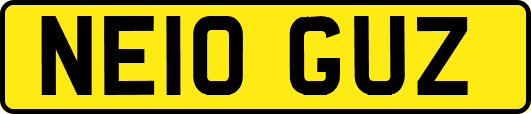 NE10GUZ