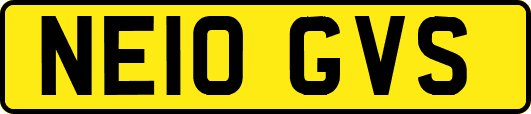 NE10GVS