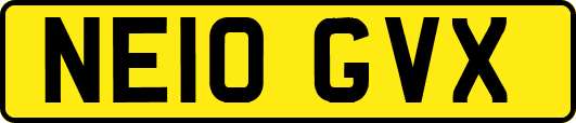 NE10GVX