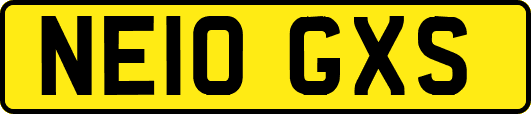 NE10GXS