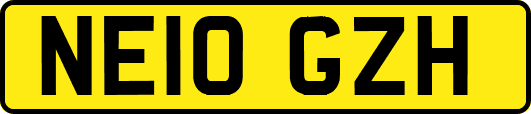 NE10GZH