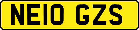NE10GZS
