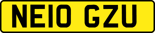 NE10GZU
