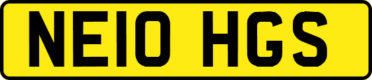 NE10HGS