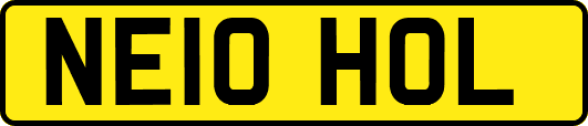 NE10HOL
