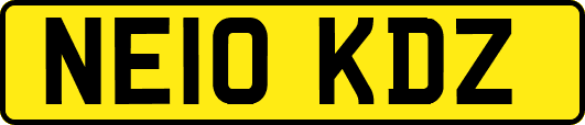 NE10KDZ
