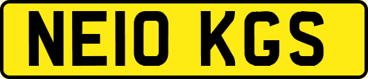 NE10KGS