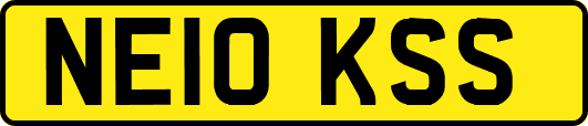 NE10KSS