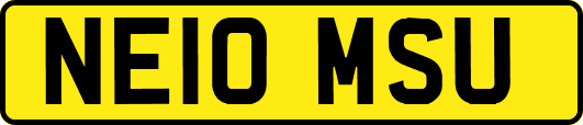NE10MSU