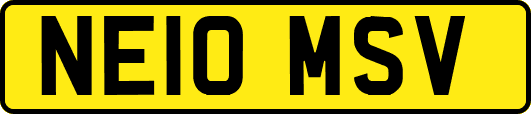 NE10MSV