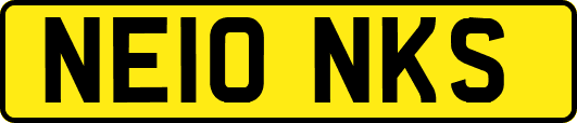 NE10NKS