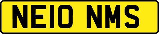 NE10NMS